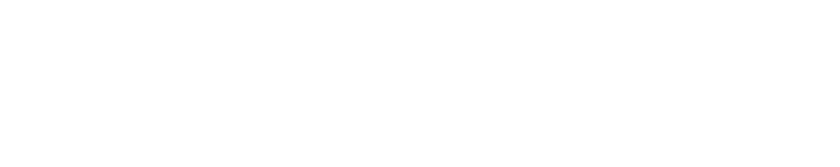 Nextise Logo